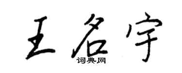 王正良王名宇行書個性簽名怎么寫