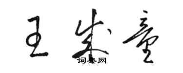 駱恆光王成童草書個性簽名怎么寫