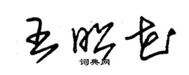 朱錫榮王昭花草書個性簽名怎么寫