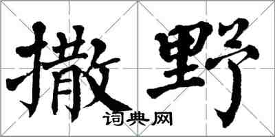 翁闓運撒野楷書怎么寫