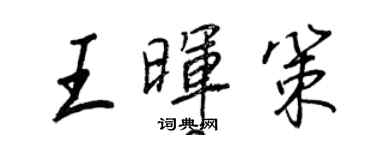 王正良王暉策行書個性簽名怎么寫