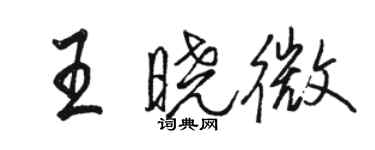 駱恆光王曉微行書個性簽名怎么寫