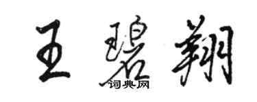 駱恆光王碧翔行書個性簽名怎么寫