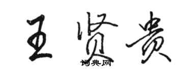 駱恆光王賢貴行書個性簽名怎么寫