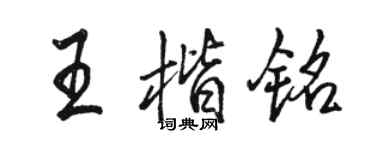駱恆光王楷銘行書個性簽名怎么寫