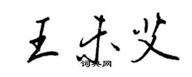 王正良王未艾行書個性簽名怎么寫