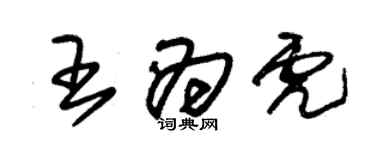 朱錫榮王為虎草書個性簽名怎么寫