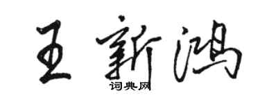 駱恆光王新鴻行書個性簽名怎么寫