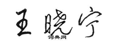 駱恆光王曉寧行書個性簽名怎么寫