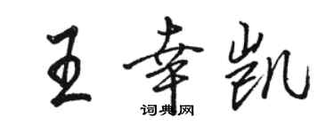 駱恆光王幸凱行書個性簽名怎么寫