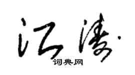 朱錫榮江濤草書個性簽名怎么寫