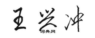 駱恆光王興沖行書個性簽名怎么寫