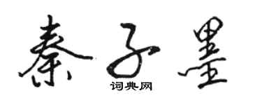 駱恆光秦子墨行書個性簽名怎么寫