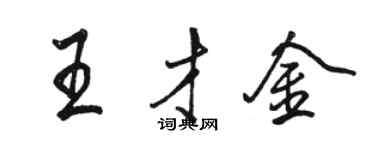 駱恆光王才金行書個性簽名怎么寫
