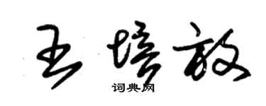 朱錫榮王培放草書個性簽名怎么寫