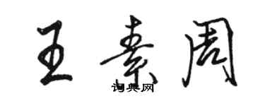 駱恆光王素周行書個性簽名怎么寫