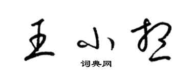 梁錦英王小想草書個性簽名怎么寫