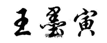 胡問遂王墨寅行書個性簽名怎么寫