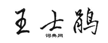 駱恆光王士鵑行書個性簽名怎么寫