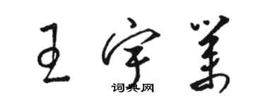 駱恆光王宇業草書個性簽名怎么寫