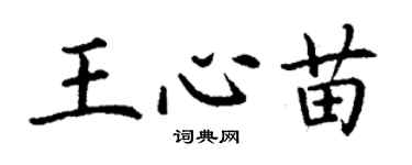 丁謙王心苗楷書個性簽名怎么寫