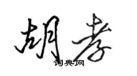 駱恆光胡孝行書個性簽名怎么寫