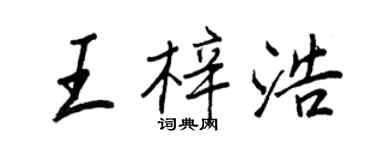 王正良王梓浩行書個性簽名怎么寫