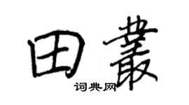 王正良田叢行書個性簽名怎么寫