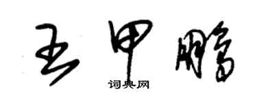 朱錫榮王甲鵬草書個性簽名怎么寫