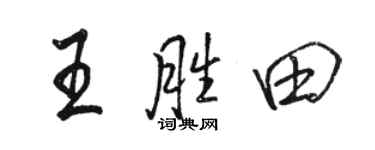 駱恆光王勝田行書個性簽名怎么寫