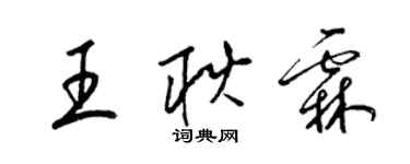 梁錦英王耿霖草書個性簽名怎么寫