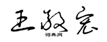 曾慶福王敬宏草書個性簽名怎么寫