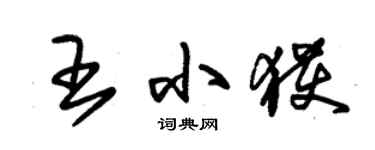 朱錫榮王小獲草書個性簽名怎么寫