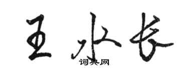 駱恆光王水長行書個性簽名怎么寫