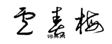 曾慶福盧春梅草書個性簽名怎么寫