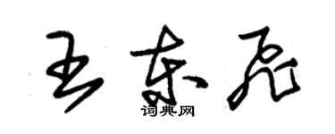朱錫榮王東飛草書個性簽名怎么寫