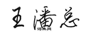 駱恆光王潘總行書個性簽名怎么寫
