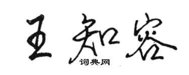 駱恆光王知容行書個性簽名怎么寫