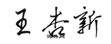 駱恆光王杏新行書個性簽名怎么寫