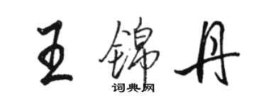 駱恆光王錦丹行書個性簽名怎么寫