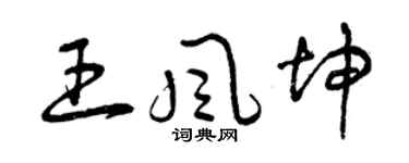 曾慶福王風坤草書個性簽名怎么寫