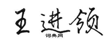 駱恆光王進領行書個性簽名怎么寫