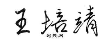 駱恆光王培靖行書個性簽名怎么寫