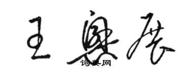 駱恆光王興展草書個性簽名怎么寫