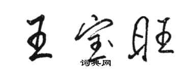 駱恆光王寶旺行書個性簽名怎么寫