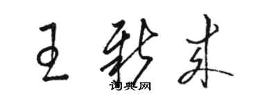 駱恆光王新來草書個性簽名怎么寫