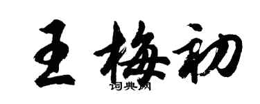胡問遂王梅初行書個性簽名怎么寫