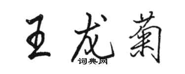 駱恆光王龍菊行書個性簽名怎么寫