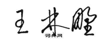 駱恆光王林野草書個性簽名怎么寫