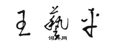 駱恆光王藝平草書個性簽名怎么寫